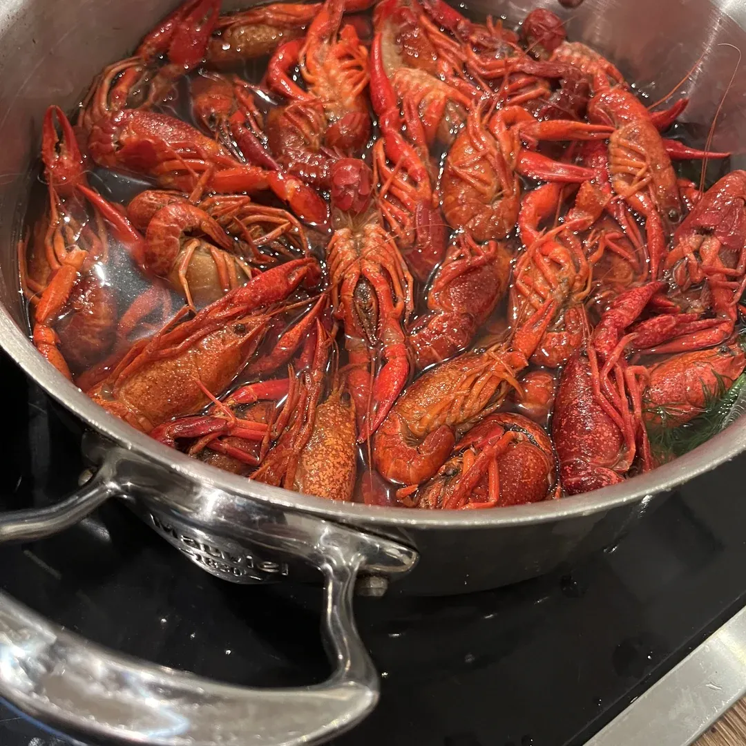 CajunIMG 1825.