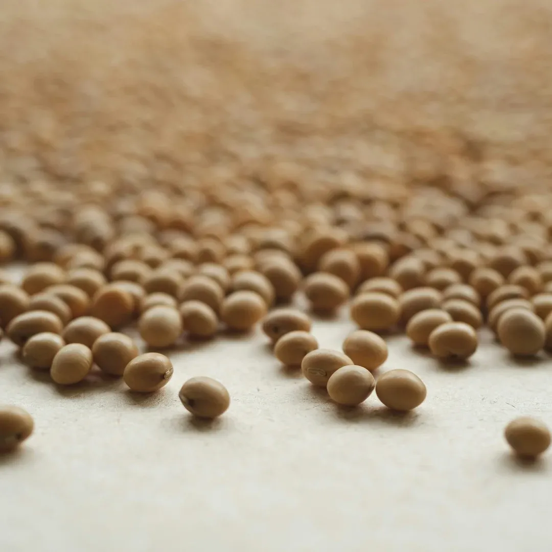 Close-up of beige dried beans scattered on a light surface.
